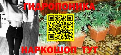 apvp Беслан