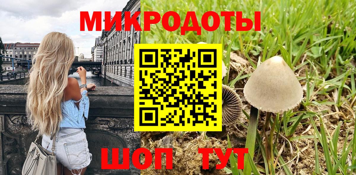 Галлюциногенные грибы Magic Shrooms Камень-на-Оби