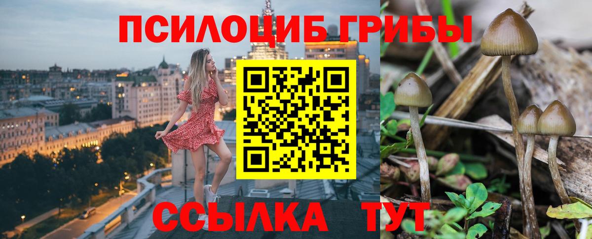 Псилоцибиновые грибы Magic Shrooms  Вход с VPN  купить   Камень-на-Оби 